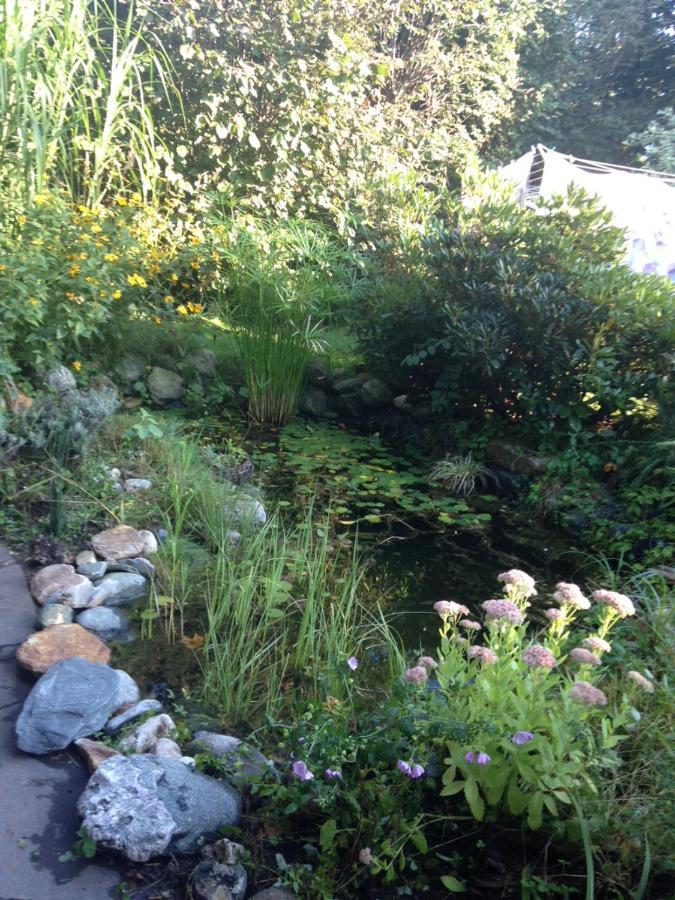 Ruhige Wohnung Mit Schoenem Eigengarten In Seeboden Am Millstaettersee Exteriér fotografie