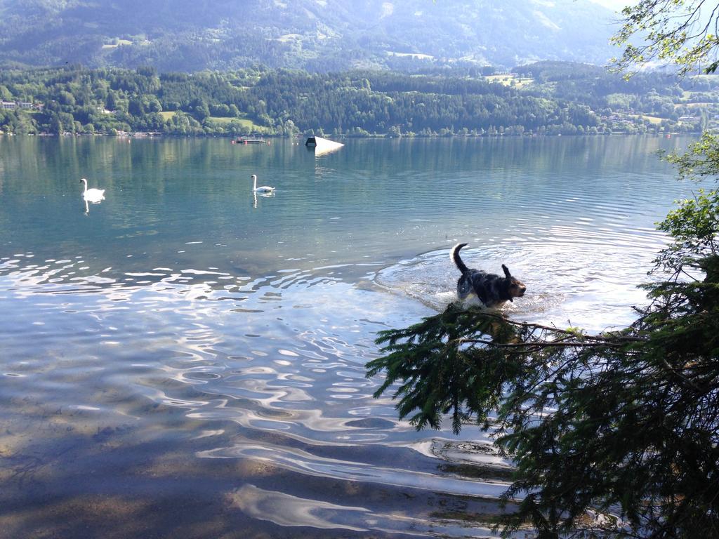 Ruhige Wohnung Mit Schoenem Eigengarten In Seeboden Am Millstaettersee Pokoj fotografie