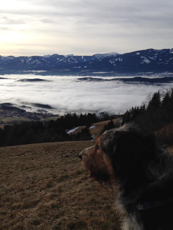 Ruhige Wohnung Mit Schoenem Eigengarten In Seeboden Am Millstaettersee Exteriér fotografie