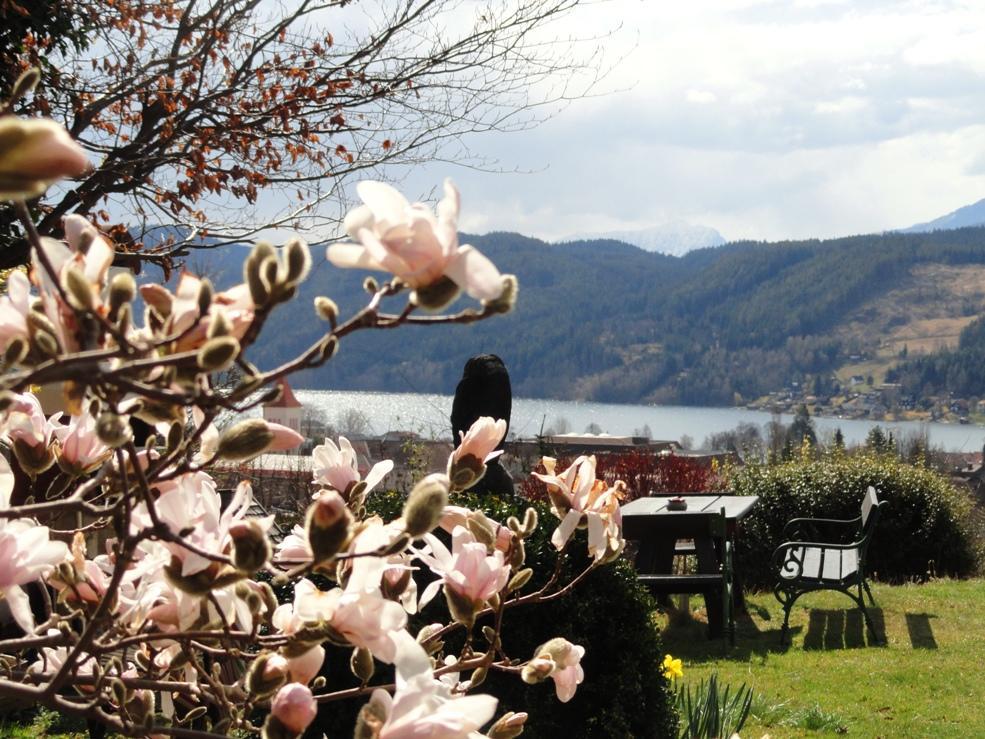 Ruhige Wohnung Mit Schoenem Eigengarten In Seeboden Am Millstaettersee Exteriér fotografie