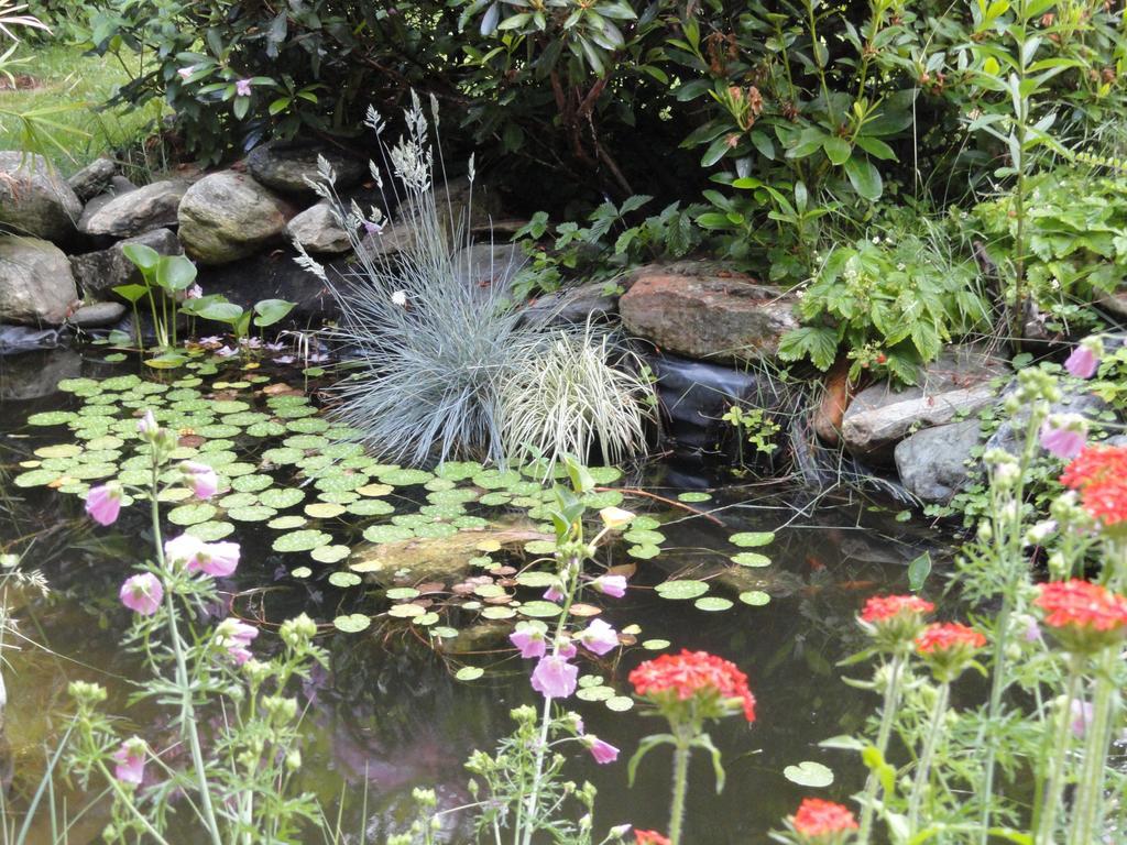 Ruhige Wohnung Mit Schoenem Eigengarten In Seeboden Am Millstaettersee Exteriér fotografie